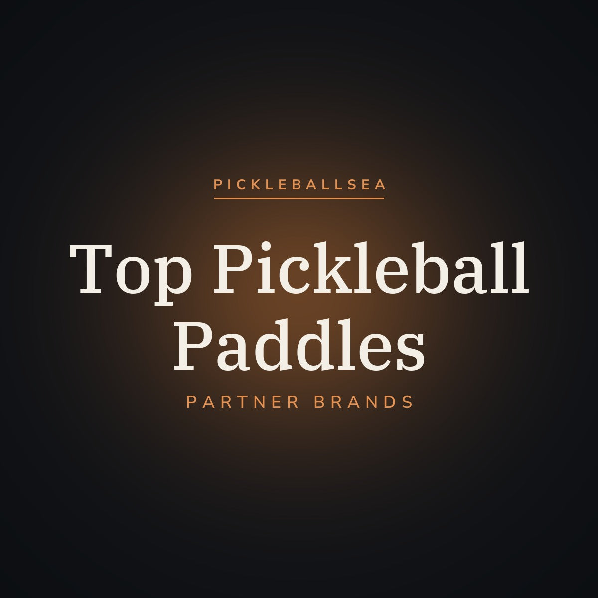 Top Pickleball Paddles — Partner Brands
